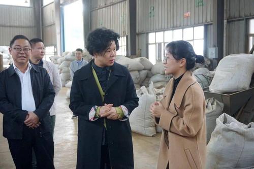 湘乡市茶叶一厂,斯伯特家居用品以及金河计算机科技