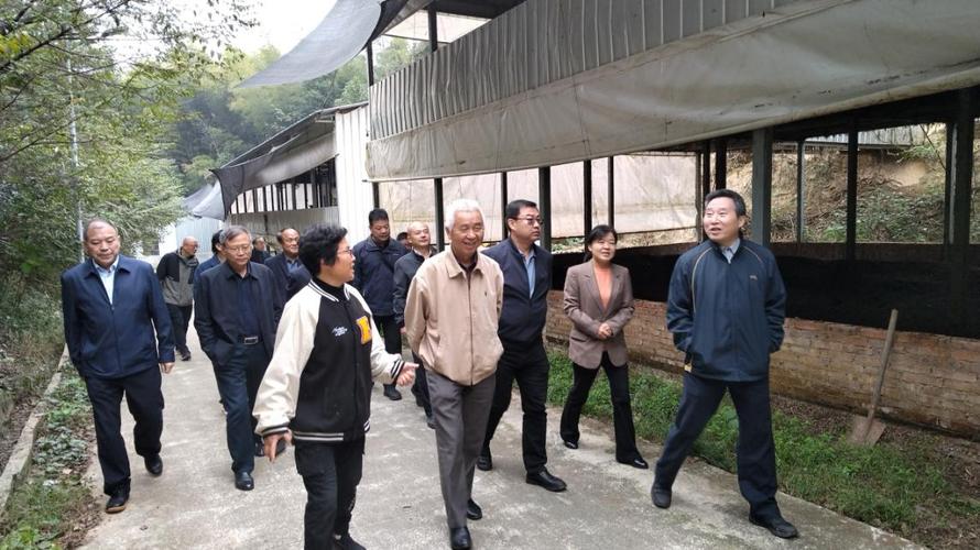 省市专家齐聚湘乡 把脉"两羊"产业 助力乡村振兴