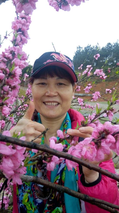 桃花盛开的时候一湘乡赏桃花之行