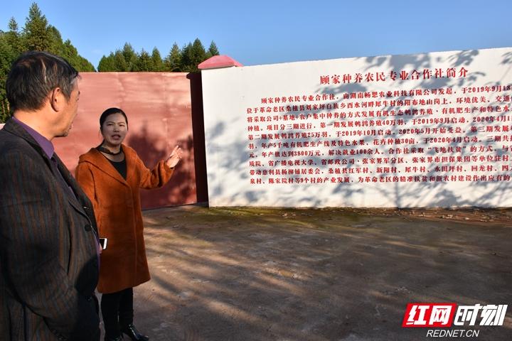 董丽婷:这个湘乡姑娘背井离乡,只为做好一颗蛋